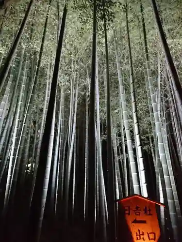 青蓮院門跡の自然