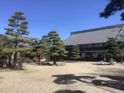 常楽寺の庭園