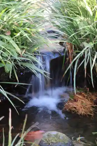 武蔵一宮氷川神社(埼玉県)
