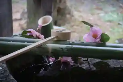 鹿島大神宮の手水舎