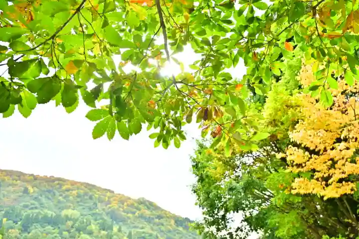 高龍神社 奥之院(新潟県)