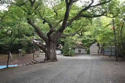 相馬神社の自然