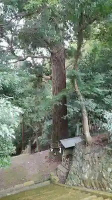 高嶺神社の自然