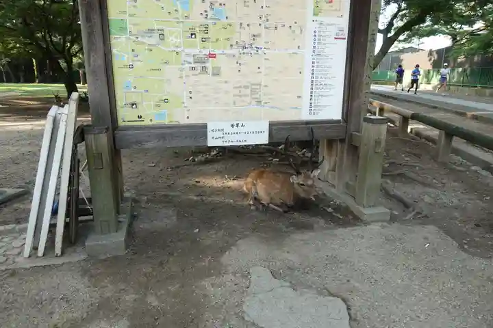 興福寺のその他建物
