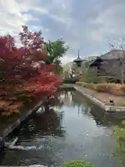 東寺（教王護国寺）の建物その他