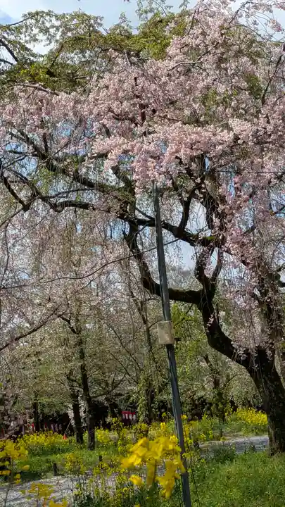 平野神社(京都府)