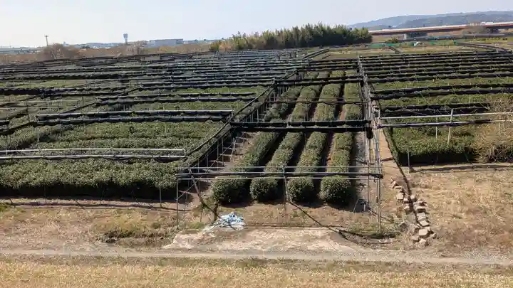 流れ橋大明神(京都府)