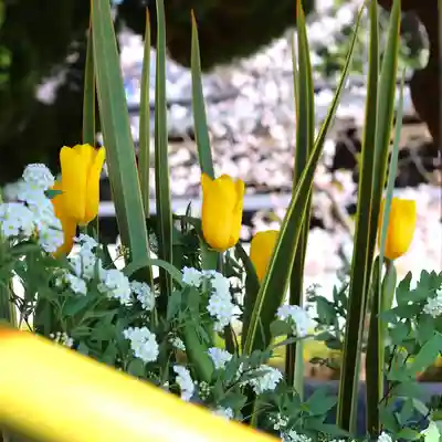 三津厳島神社の手水舎