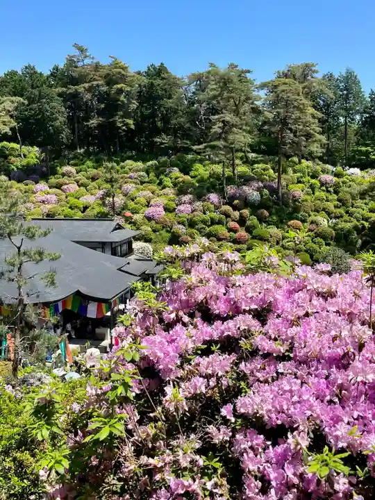 塩船観音寺(東京都)