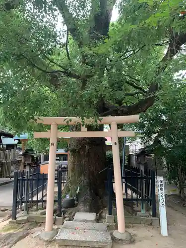 中山神明社の鳥居