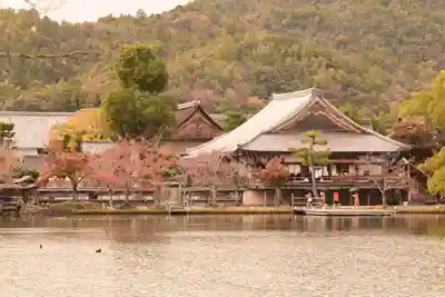 大覚寺(京都府)