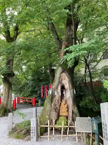 秩父今宮神社(埼玉県)