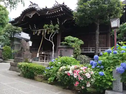 白山神社の本殿・本堂