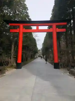 霧島神宮(鹿児島県)