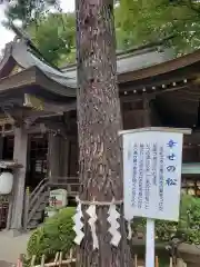 前鳥神社の自然