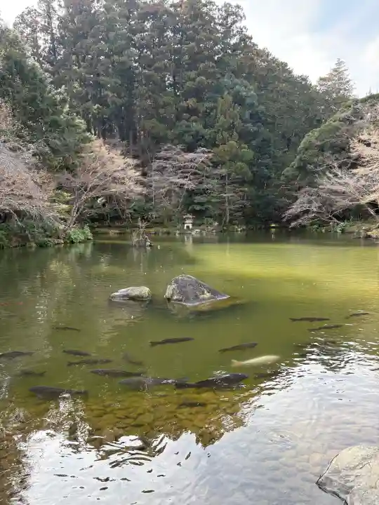 成田山醫王殿の{uncategorized: "未分類", other: "その他", undefined: "問題あり", building: "その他建物", grave: "お墓", sacred_gate: "鳥居", guardian: "狛犬", statue: "像", buddha: "仏像", history: "歴史", nature: "自然", garden: "庭園", animal: "動物", pagoda: "塔", temizu: "手水舎", mountain_gate: "山門・神門", sanctuary: "本殿・本堂", subordinate: "末社・摂社", art: "芸術", scenery: "景色", jizo: "地蔵", ema: "絵馬", goshuin: "御朱印", omikuji: "おみくじ", items: "授与品その他", amulet: "お守り", goshuincho: "御朱印帳", eats: "食事", festival: "お祭り", votive_dance: "神楽", shichigosan: "七五三参", wedding: "結婚式", experience: "体験その他", initially: "初詣", around: "周辺", anti_infection: "感染症対策"}