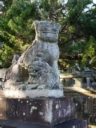 阿蘇神社の狛犬