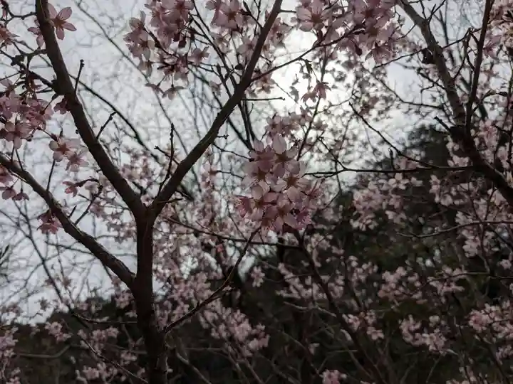 大縣神社(愛知県)