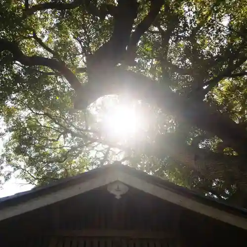 水神社のその他建物