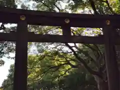 明治神宮の鳥居