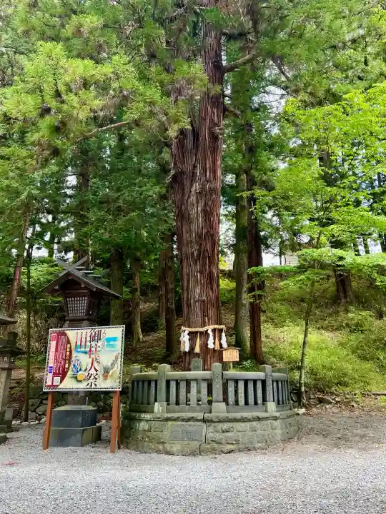 諏訪大社下社春宮(長野県)