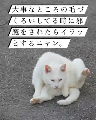 専念寺(大阪府)