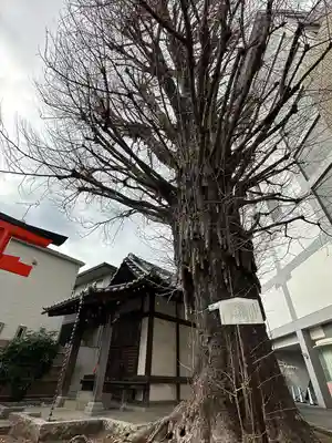 稼穡稲荷社(東京都)