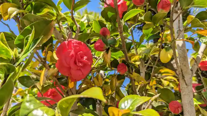 浄安寺(京都府)