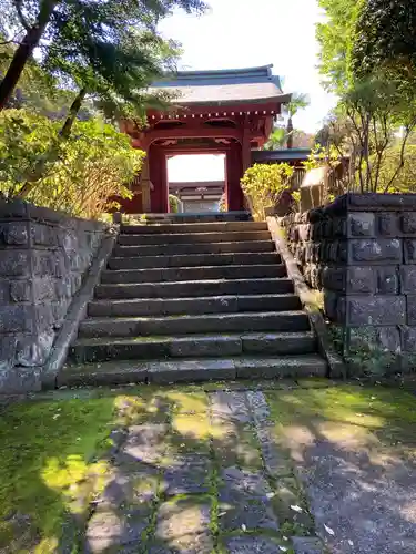 泉谷寺の山門