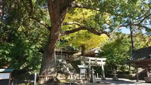 事任八幡宮の景色