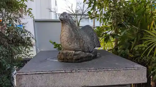 高知大神宮の狛犬