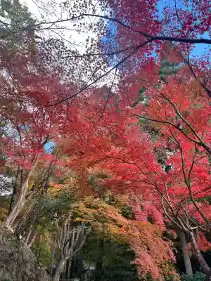 神峯山寺(大阪府)