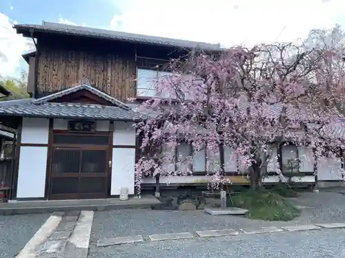 大妙寺(京都府)
