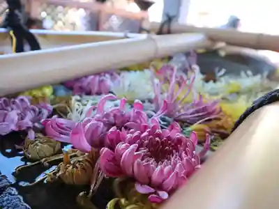 湯島天満宮の手水舎