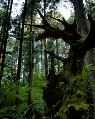 御岩神社(茨城県)