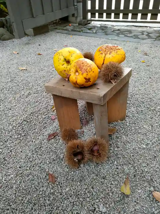 賀茂御祖神社(下鴨神社)(京都府)