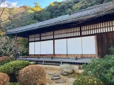 知恩院(京都府)