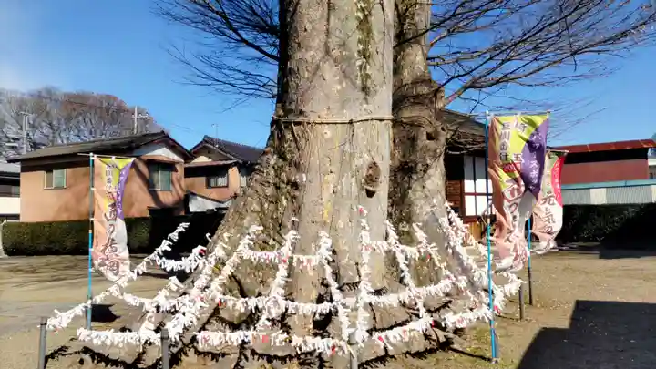 八枝神社(埼玉県)