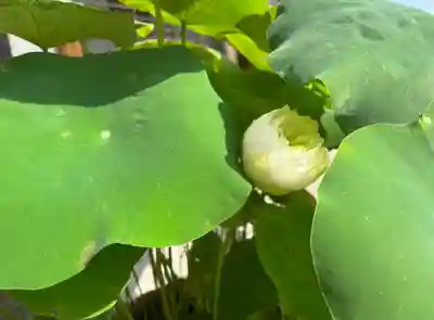 松本山 地福禅寺(滋賀県)