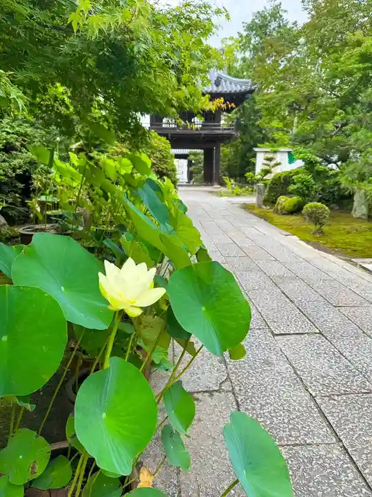 伊勢の国 四天王寺(三重県)
