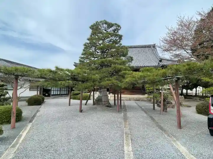 光延寺の{uncategorized: "未分類", other: "その他", undefined: "問題あり", building: "その他建物", grave: "お墓", sacred_gate: "鳥居", guardian: "狛犬", statue: "像", buddha: "仏像", history: "歴史", nature: "自然", garden: "庭園", animal: "動物", pagoda: "塔", temizu: "手水舎", mountain_gate: "山門・神門", sanctuary: "本殿・本堂", subordinate: "末社・摂社", art: "芸術", scenery: "景色", jizo: "地蔵", ema: "絵馬", goshuin: "御朱印", omikuji: "おみくじ", items: "授与品その他", amulet: "お守り", goshuincho: "御朱印帳", eats: "食事", festival: "お祭り", votive_dance: "神楽", shichigosan: "七五三参", wedding: "結婚式", experience: "体験その他", initially: "初詣", around: "周辺", anti_infection: "感染症対策"}