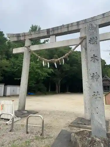 樹木神社の鳥居
