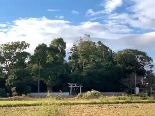 浅間神社の鳥居