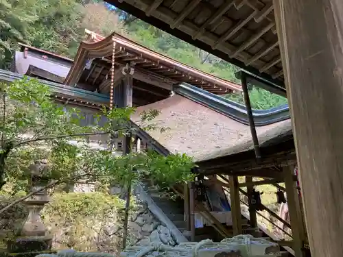 丹生川上神社（中社）の本殿