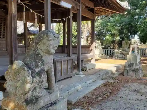 住吉神社の狛犬