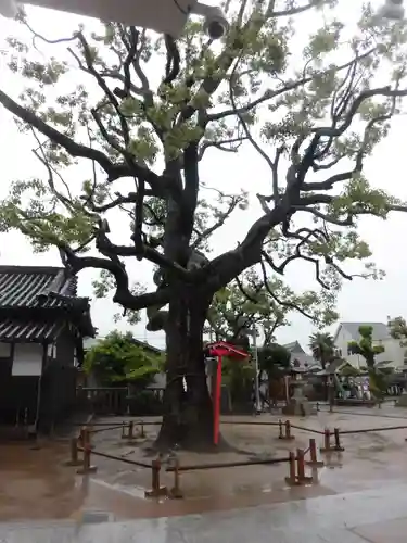 泉殿宮のその他建物