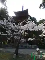 善寶寺のその他建物