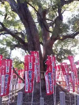 楠珺社（住吉大社末社）(大阪府)