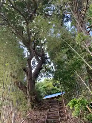 天王神社のその他建物