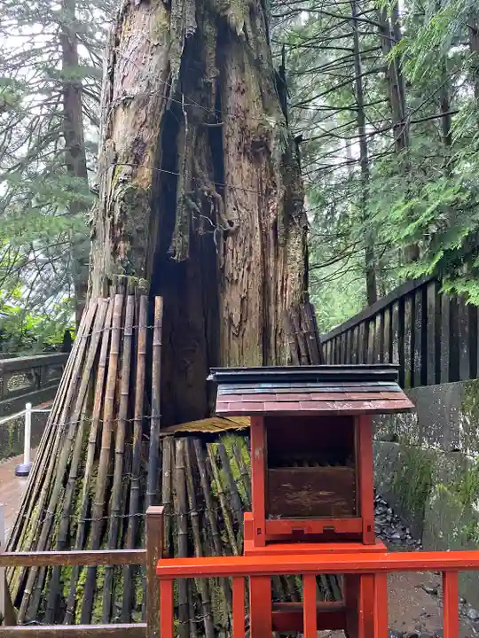 日光東照宮奥宮拝殿(栃木県)